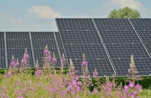 Nachteile von Solaranlagen – Welche Kosten, technischen Einschränkungen und weiteren Nachteile Photovoltaikanlagen haben können