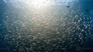 Silberfische – Wie Kommen Sie Ins Haus? Ursachen Erkennen Und Silberfische Dauerhaft Loswerden
