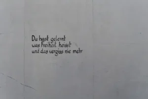 Wie Entsorge Ich Altes Speiseöl? So Wirst Du Gebrauchtes Öl Umweltgerecht Los