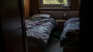 Woher Kommen Silberfische Im Schlafzimmer? Ursachen für Silberfische und was gegen einen Befall hilft